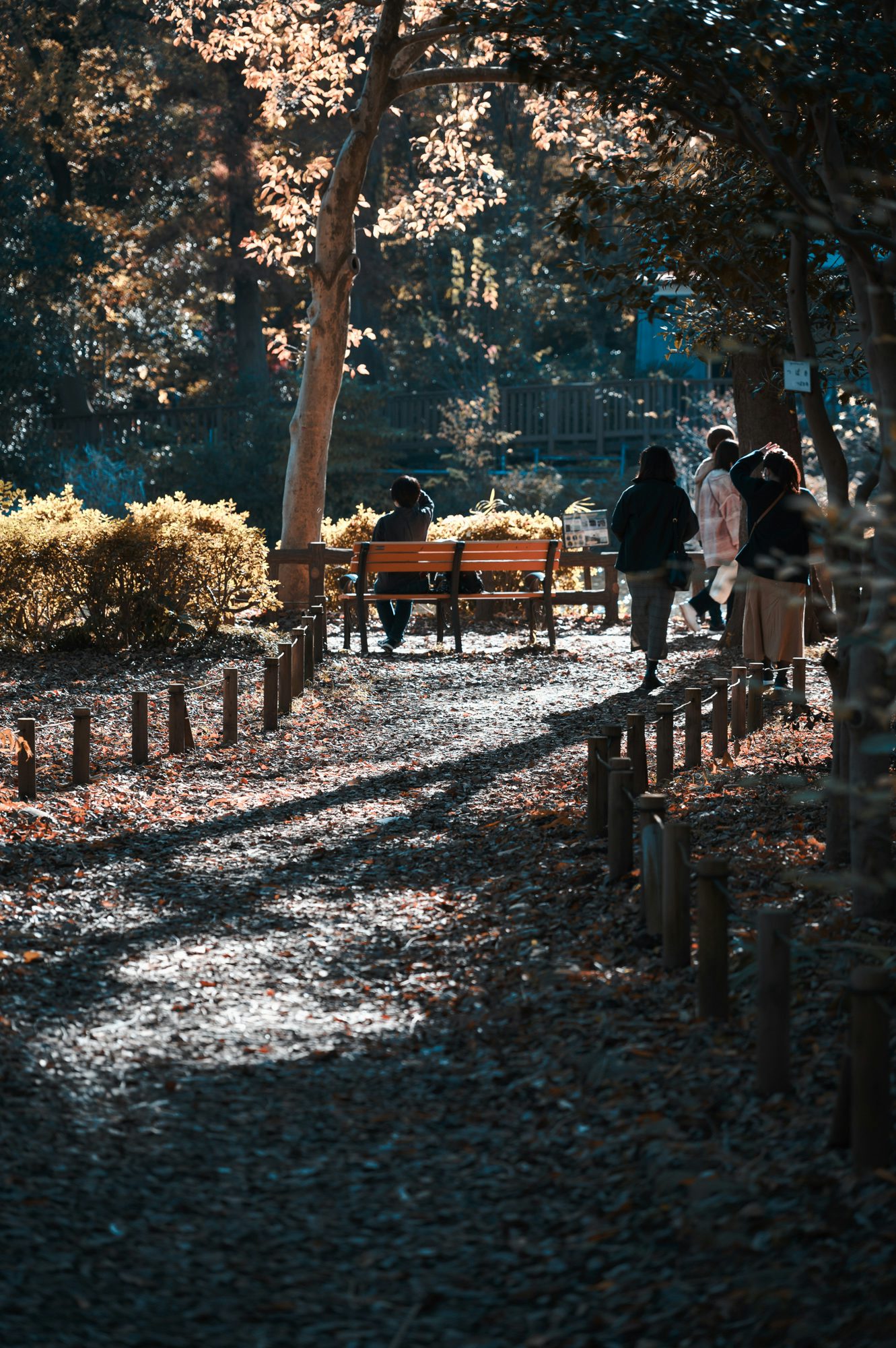 「Autumn」という多分 DxO FilmPack オリジナルのシミュレーション